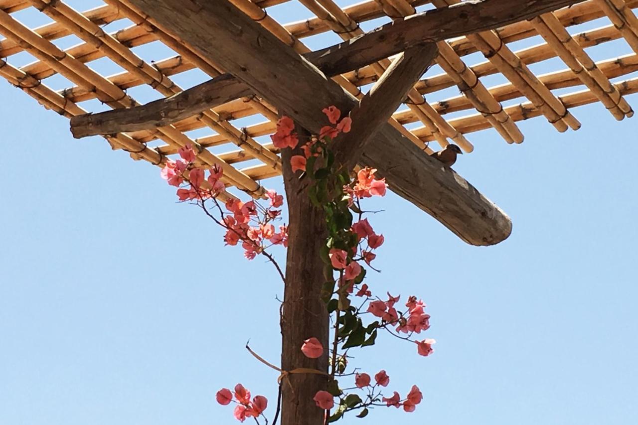 Riad Of The Storks - Exclusive Use For Up To 17 Persons Marrakesh Exterior foto
