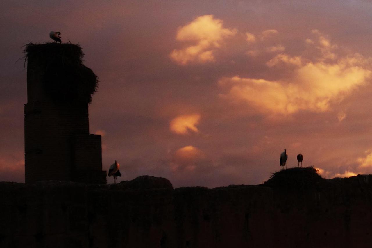 Riad Of The Storks - Exclusive Use For Up To 17 Persons Marrakesh Exterior foto
